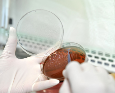 Microbiologia